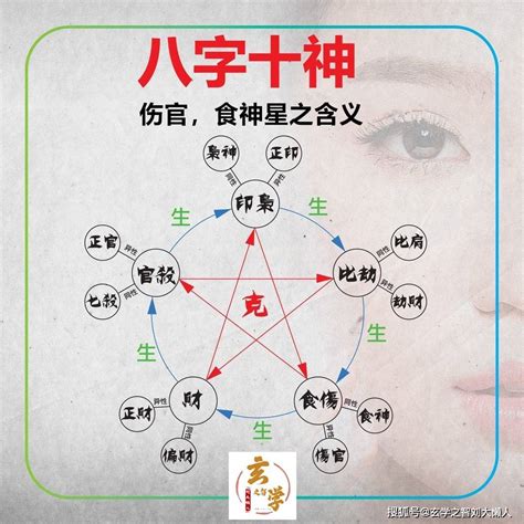 八字 食神 意思